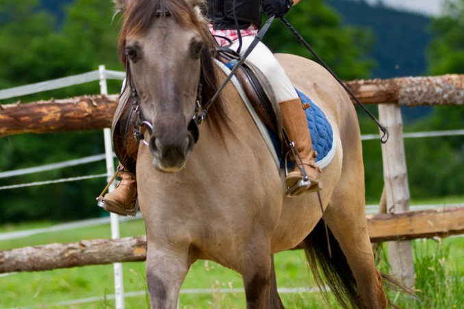 sport bambini salute