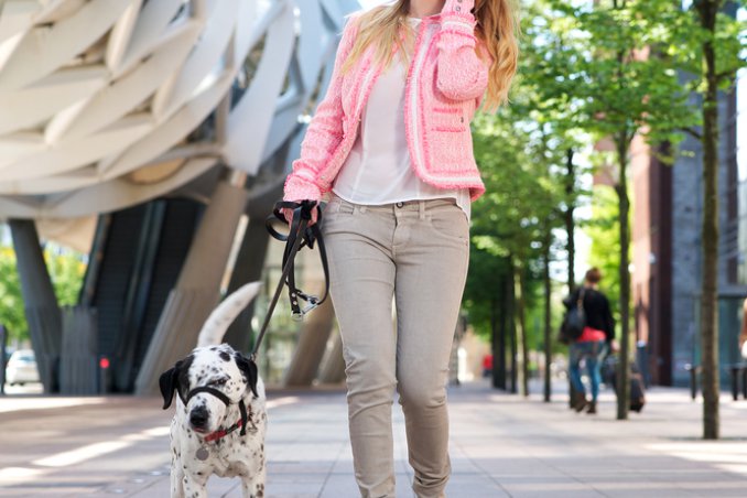 cani, guinzaglio, città, parchi, giardini, regole