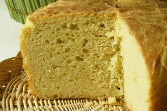 crescia torta formaggio parmigiano yogurt