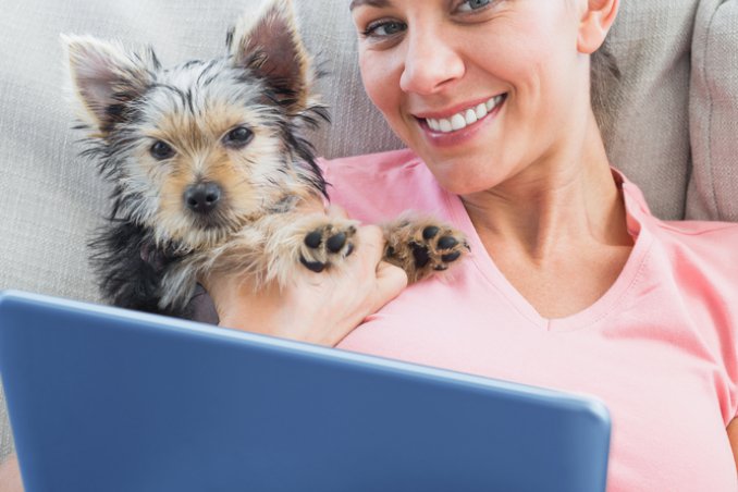 Il social network per i cani