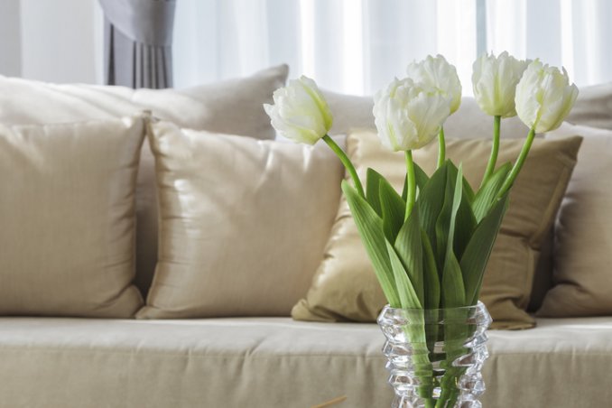 togliere macchie dal divano