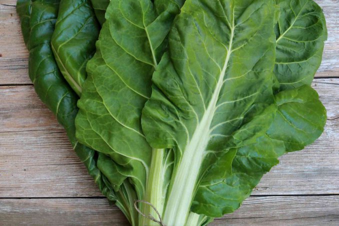 come coltivare le bietole