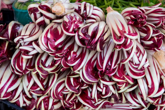 radicchio tardivo di treviso
