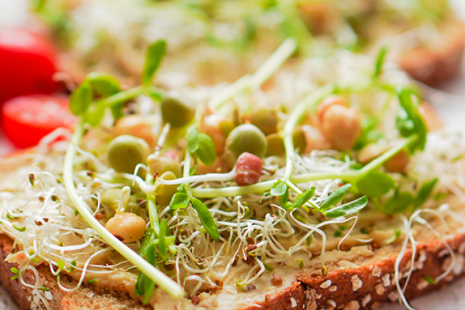 Usare il germogliatore: piccola guida alla coltivazione dei germogli in casa