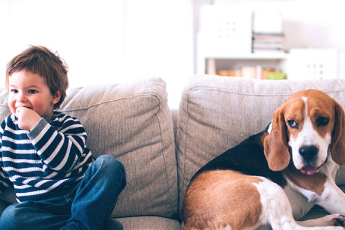 Il divano giusto? 5 aspetti da prendere in considerazione