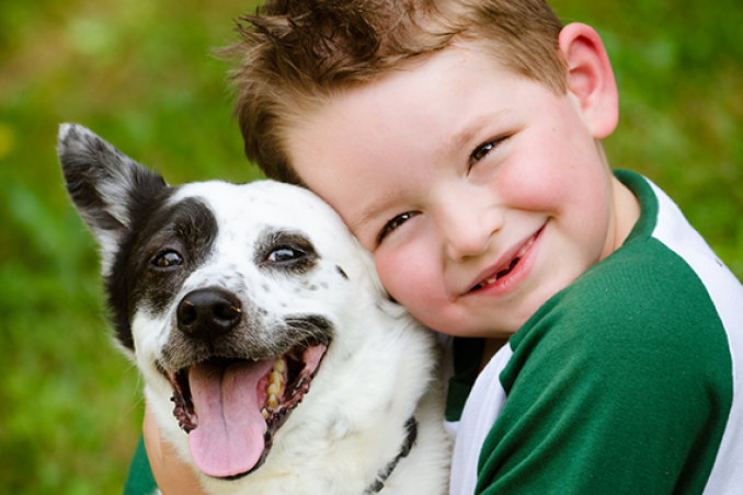 Voglia di un cucciolo? Le razze dei cani più adatte ai tuoi bambini