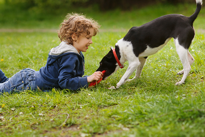 I bambini e la paura dei cani: come superarla
