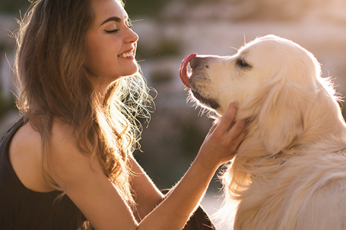 4 consigli per preparare una vacanza pet-friendly