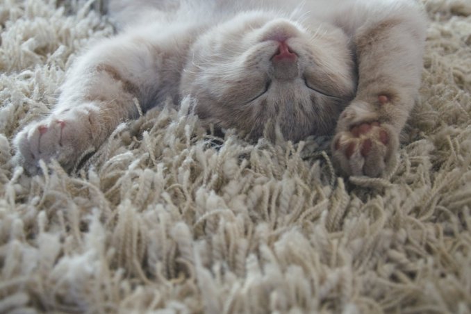 come pulire la moquette