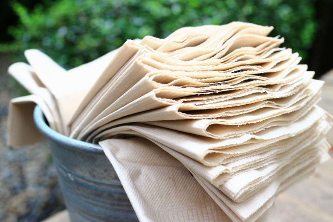 piante freddo, proteggere piante freddo, piante inverno