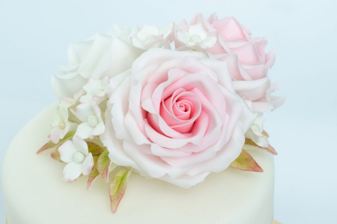 come lavorare pasta di zucchero, attrezzi pasta di zucchero, attrezzi cake design