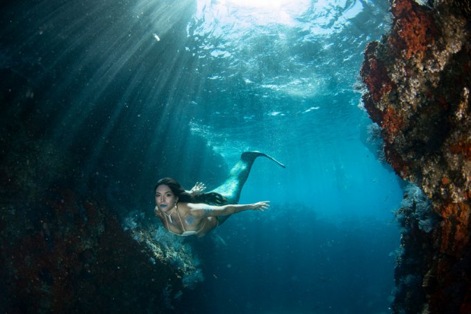 scuole sirene, mermaiding