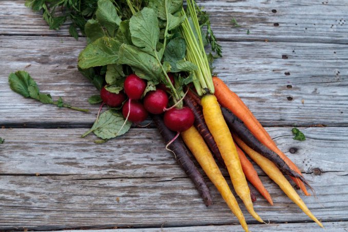 ravanelli, carote, insalata