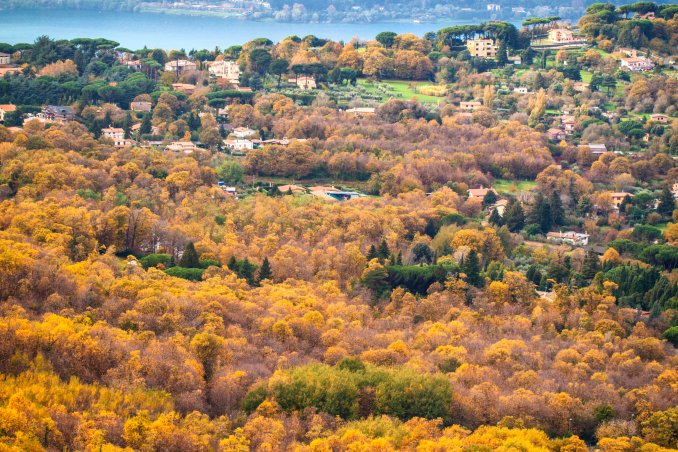castelli romani roma frascati