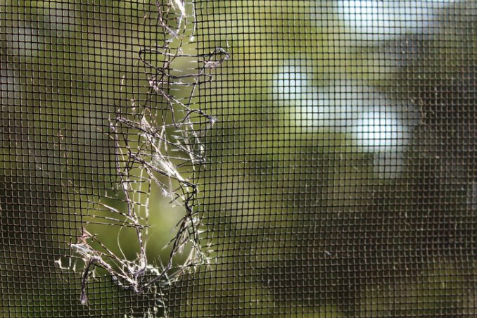 come aggiustare buco zanzariera