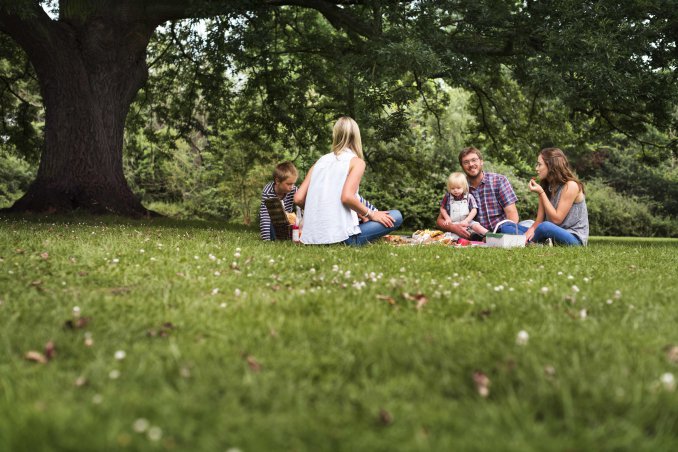 Attacco di vespe durante un pic nic? Usa l’astuzia!