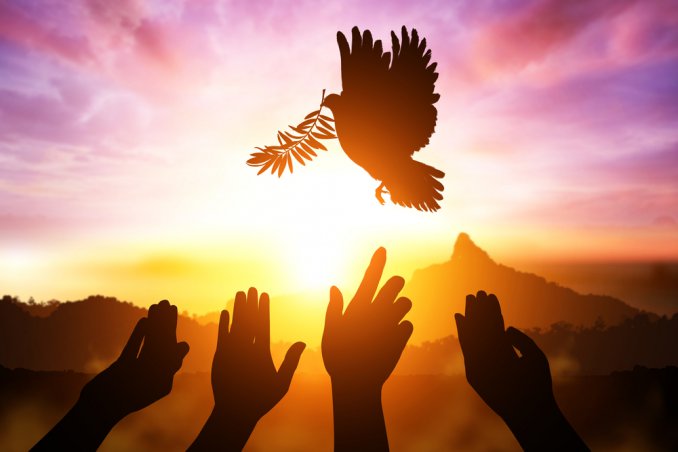 giornata mondiale pace, giornata internazionale pace, frasi pace