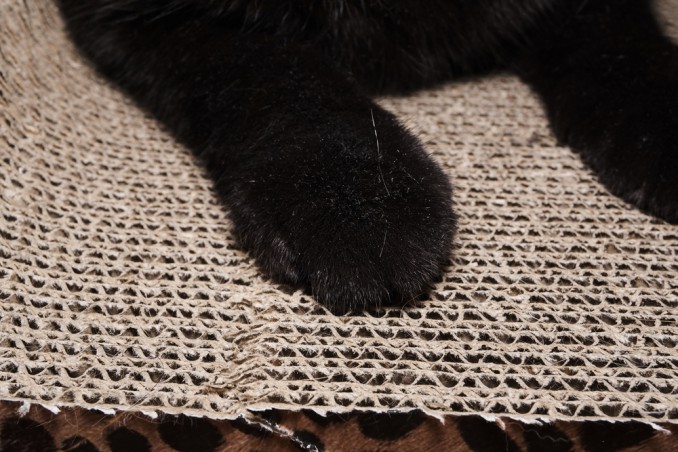 tiragraffi fai da te, tiragraffi fai da te cartone