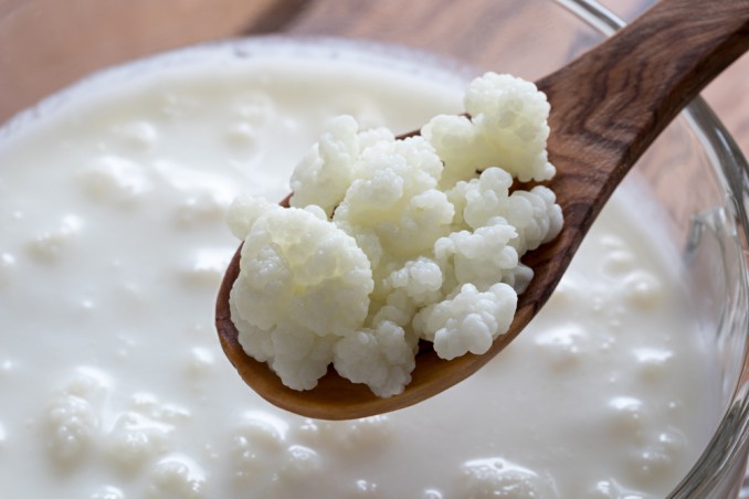 kefir, probiotici