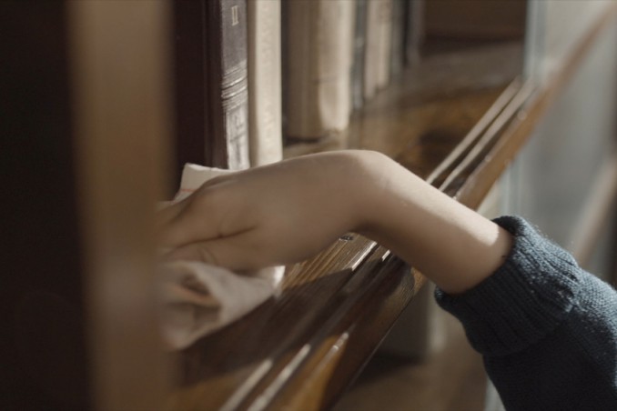 come spolverare libreria