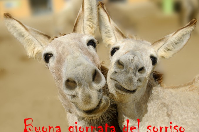 giornata mondiale del sorriso, immagini divertenti