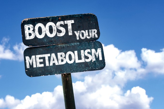 metabolismo