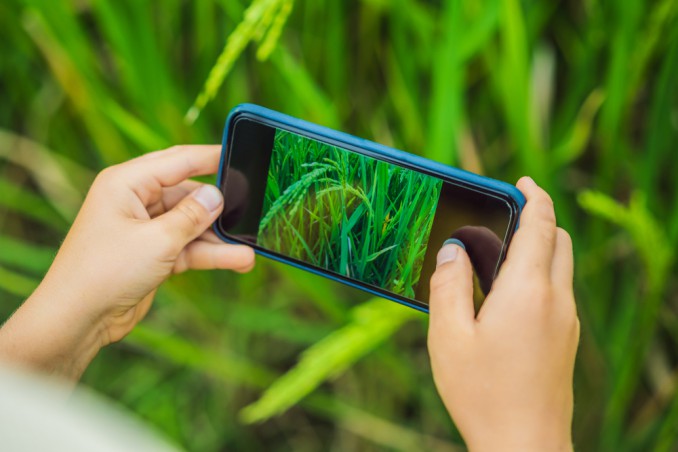 app riconoscimento piante