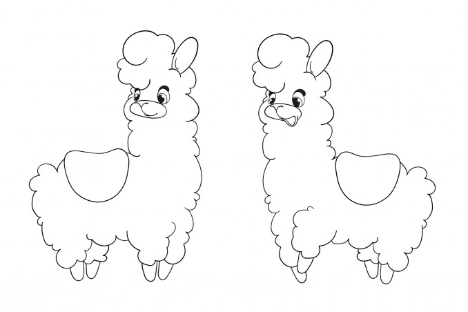 lama da colorare, disegni lama da colorare, disegni lama