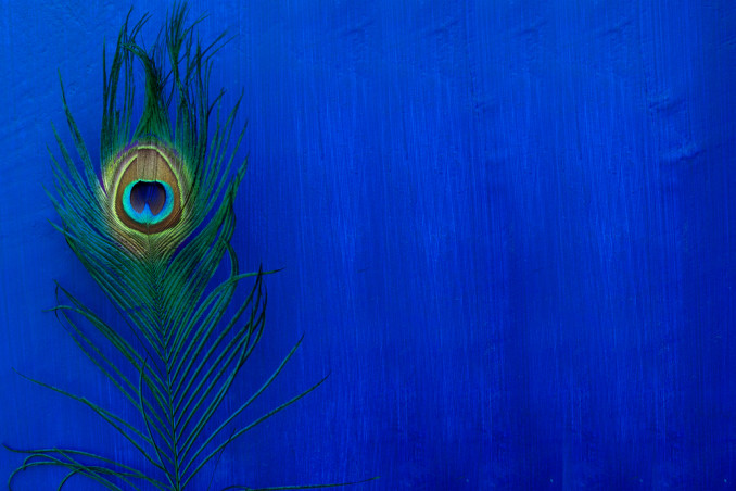 cotume carnevale fai da te