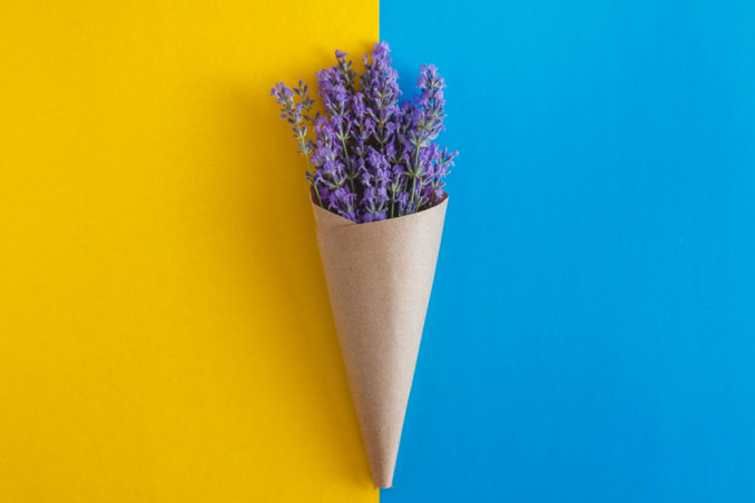 festa mamma cono fiori