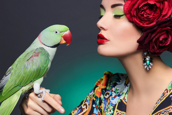 la isla, video musicale del mese, Ferreri e Lamborghini