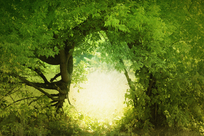 lascia che tutto ti accada bellezza e terrore, poesia rilke 