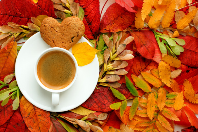 cosa fare domenica pomeriggio autunno, cosa fare domenica pomeriggio