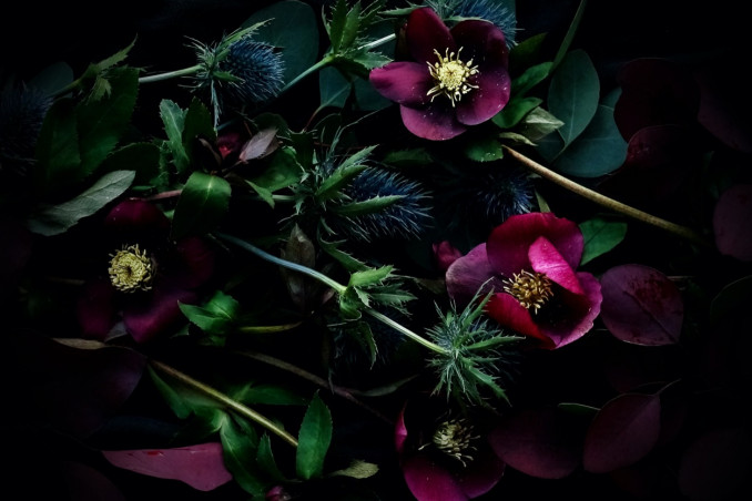 centrotavola invernale, fai da te, composizioni floreali