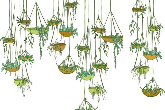 appendere piante consigli