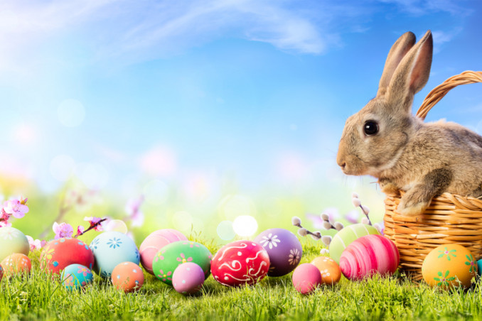 sfondi videochiamate pasqua, sfondi videocall