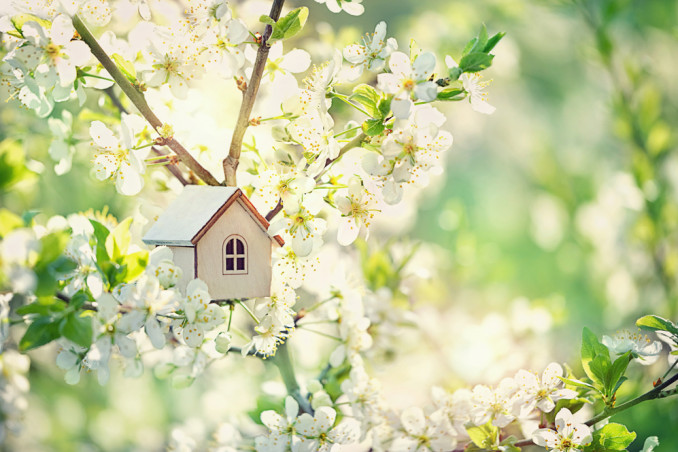 lavolavori manutenzione primavera, lavori primaverili