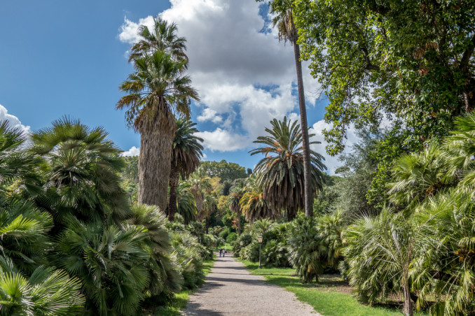 orto botanico motivi visitarlo