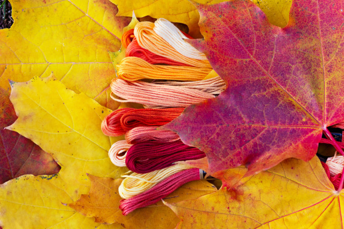 foglie autunnali punto croce, punto croce autunno