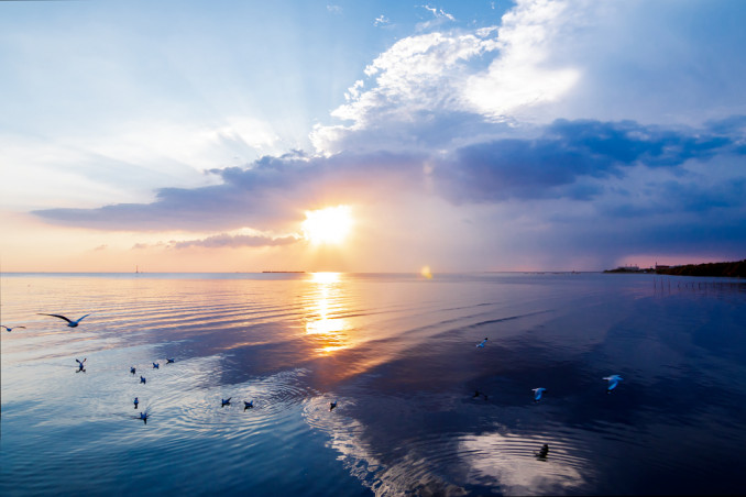 montale poesie, eugenio montale poesie