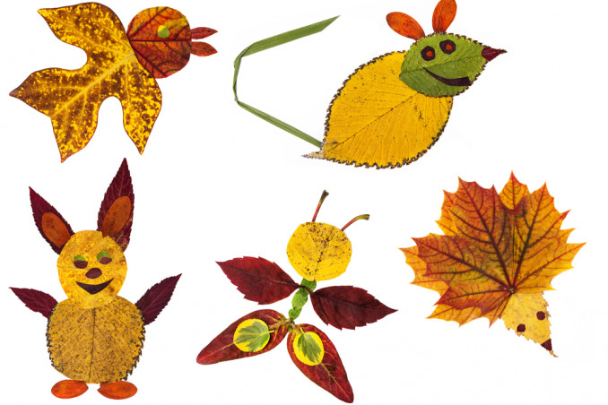 creare animali foglie