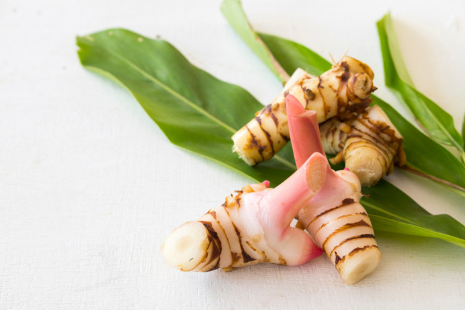 Galangal Root