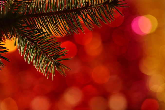 decori brillanti albero fai da te